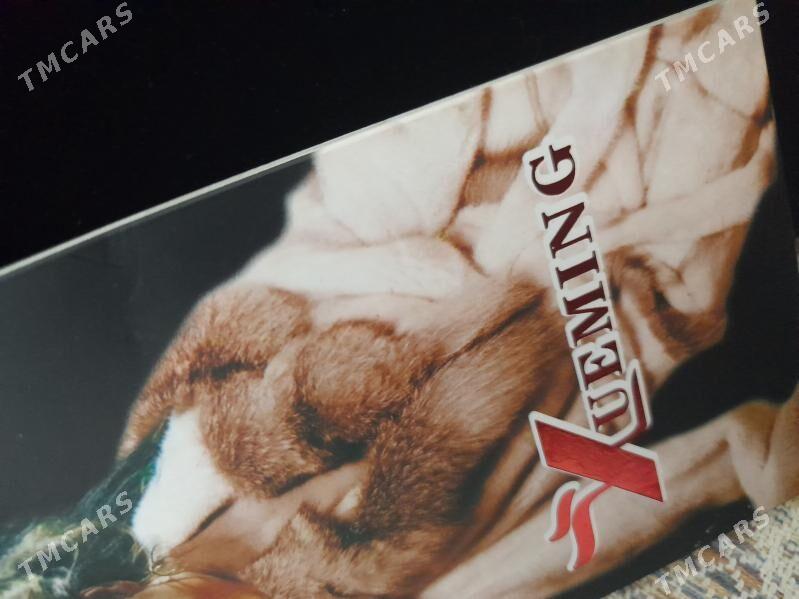 taze geyilmedik shuba palto - Aşgabat - img 4