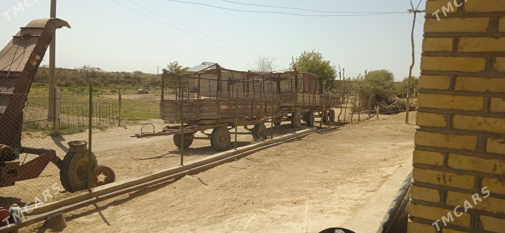 MTZ 82 2007 - 125 000 TMT - Türkmengala - img 2