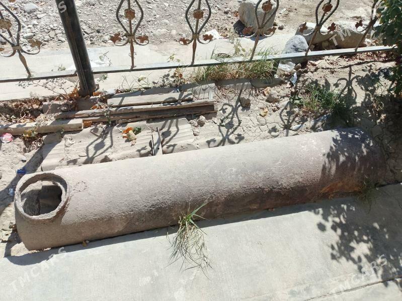 pacak palasok - Gökdepe - img 3