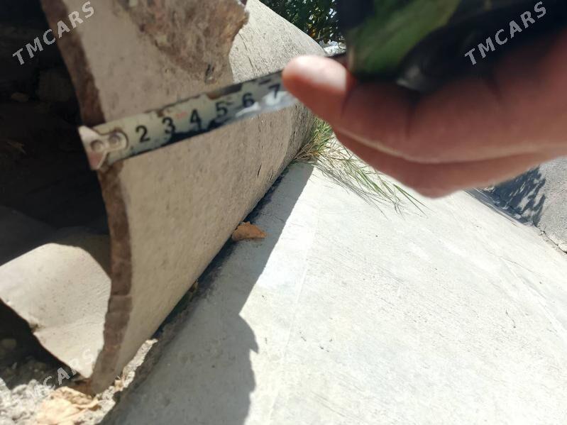 pacak palasok - Gökdepe - img 4