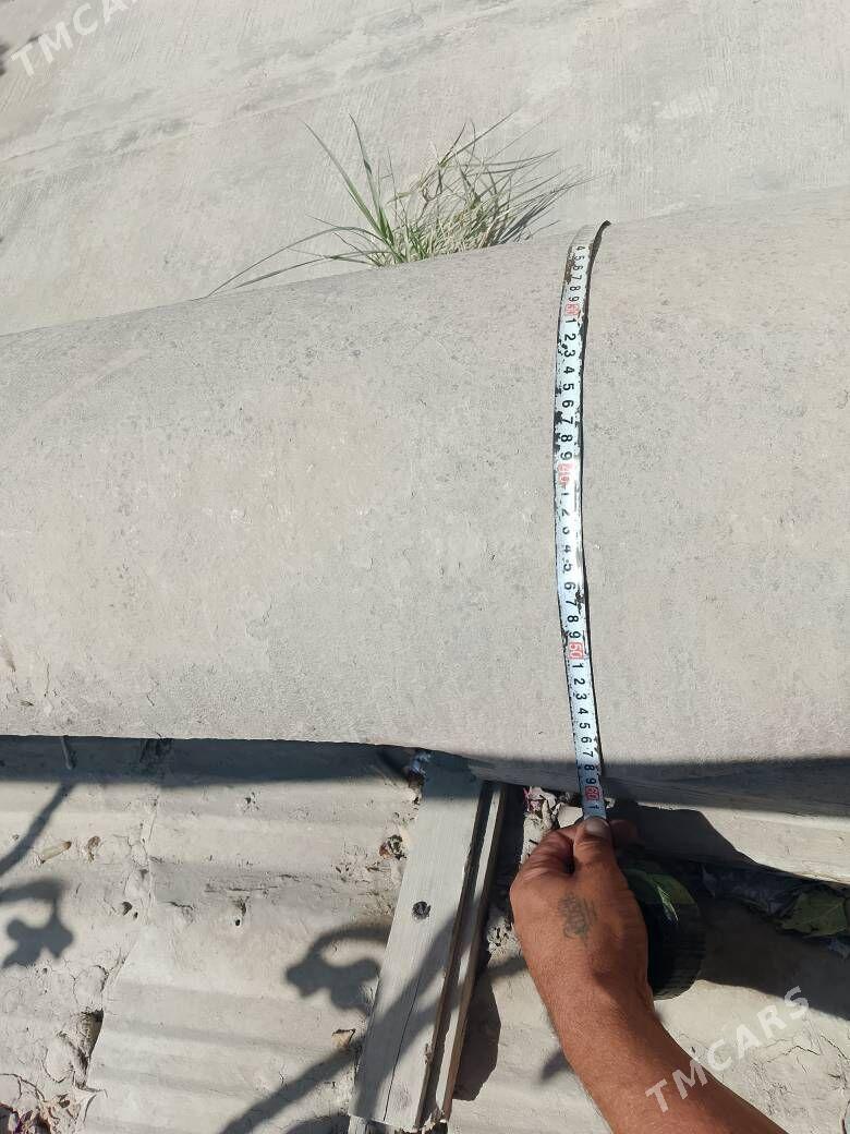 pacak palasok - Gökdepe - img 8