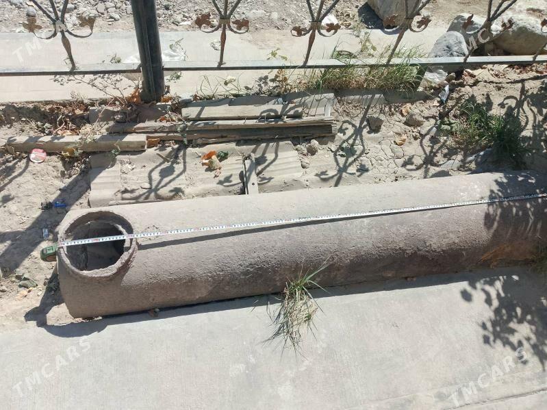 pacak palasok - Gökdepe - img 7