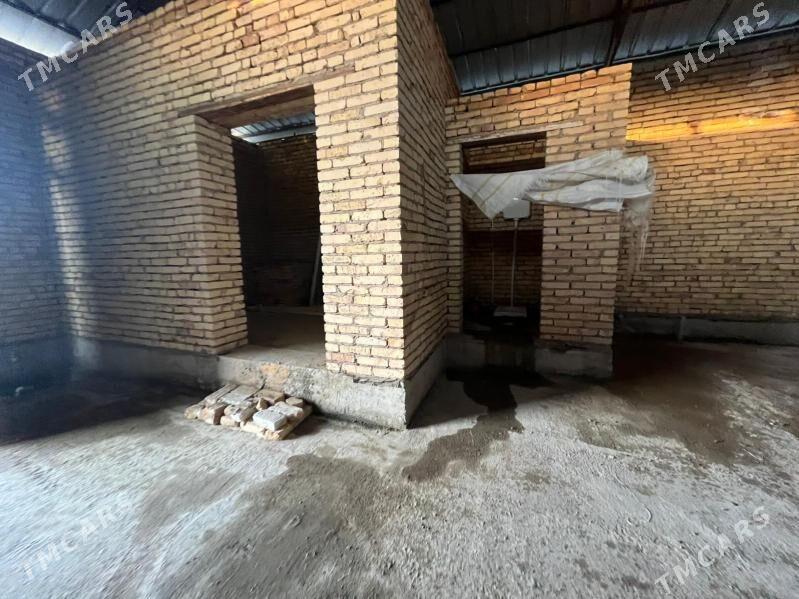 Pes Jay - Туркменабат - img 2