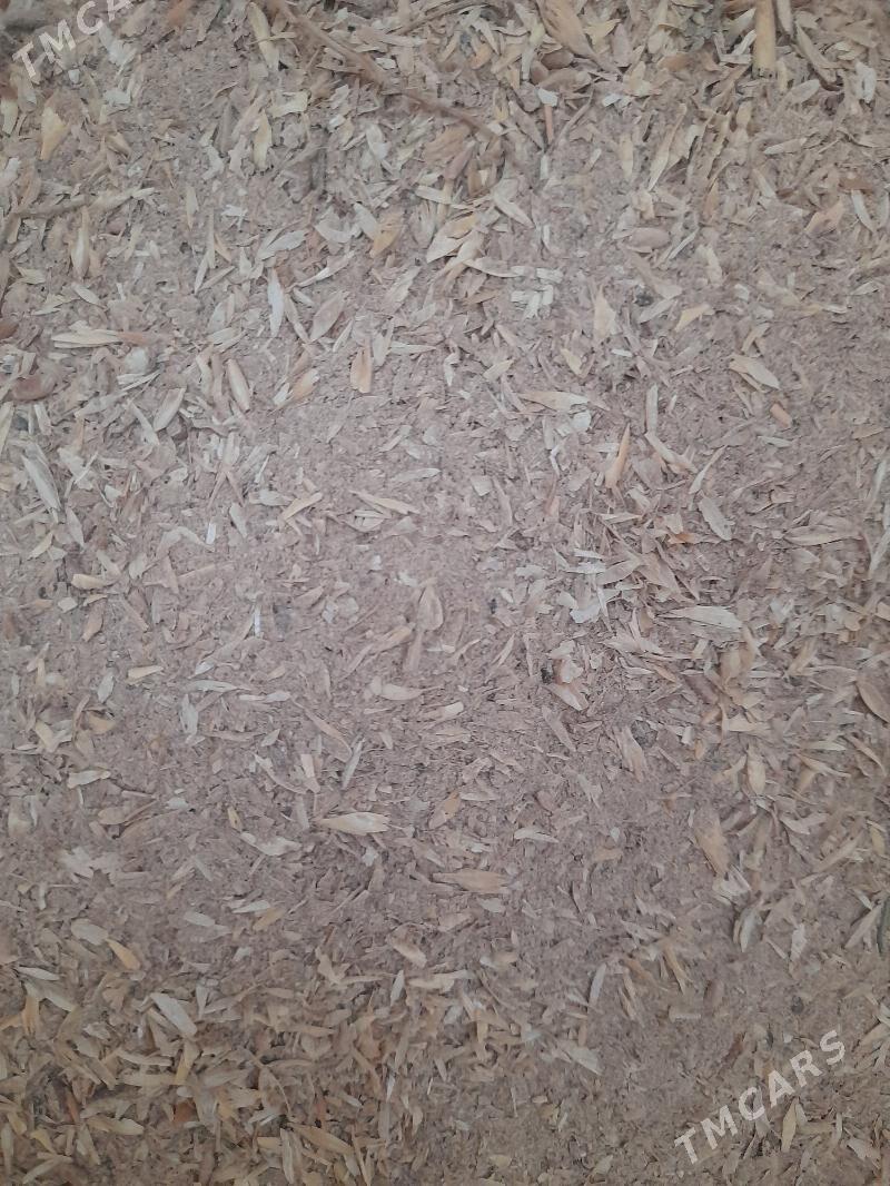 uwelen im - Bagyr - img 2