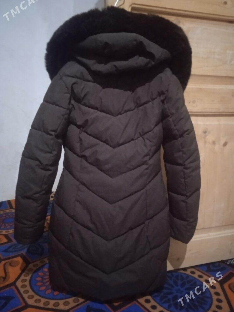 Kurtgalar - Gubadag - img 3