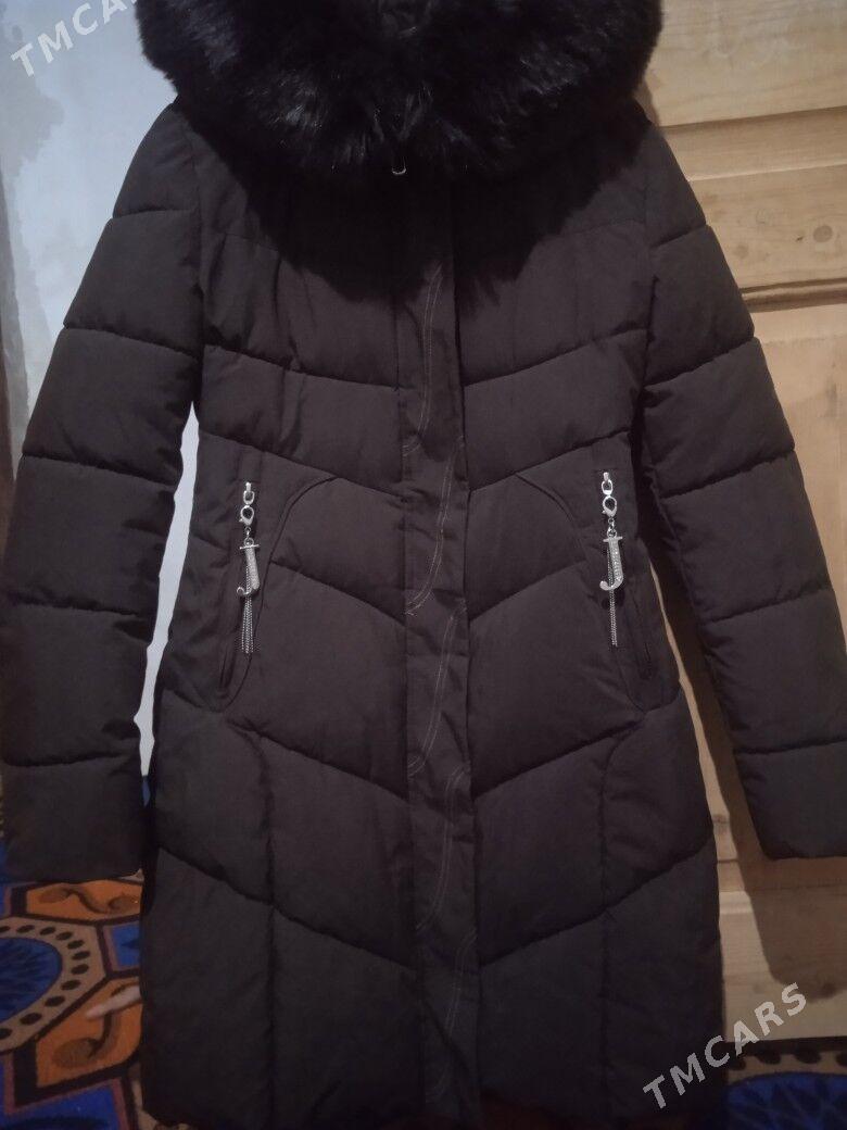 Kurtgalar - Gubadag - img 2