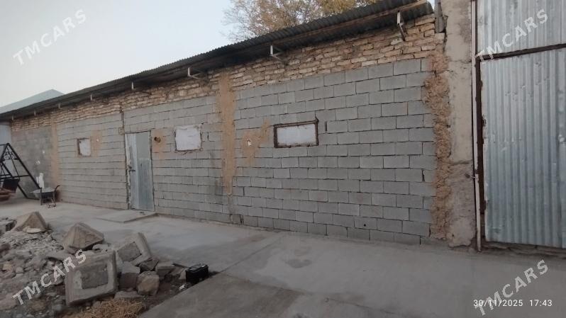 Arenda isgylat - Gurtly - img 5