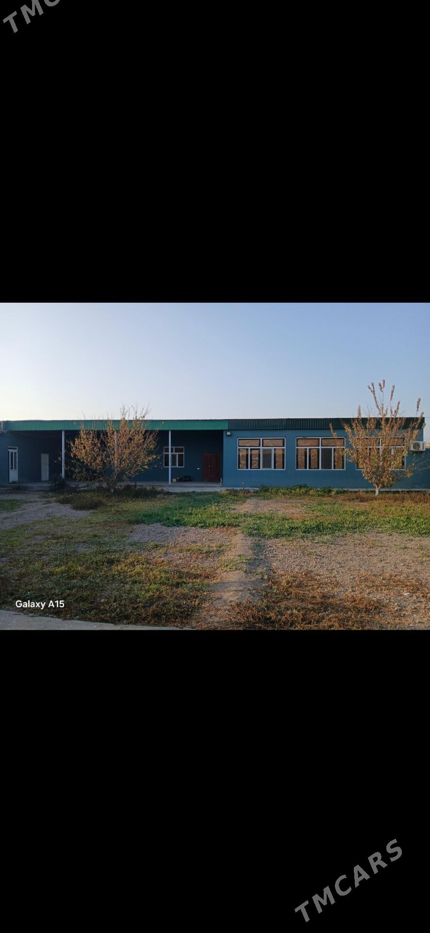 Дача Аэропорт - Туркменабат - img 5