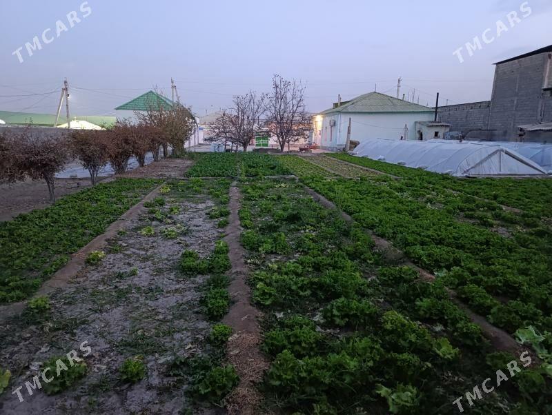 Bagyr Jay - Багир - img 7