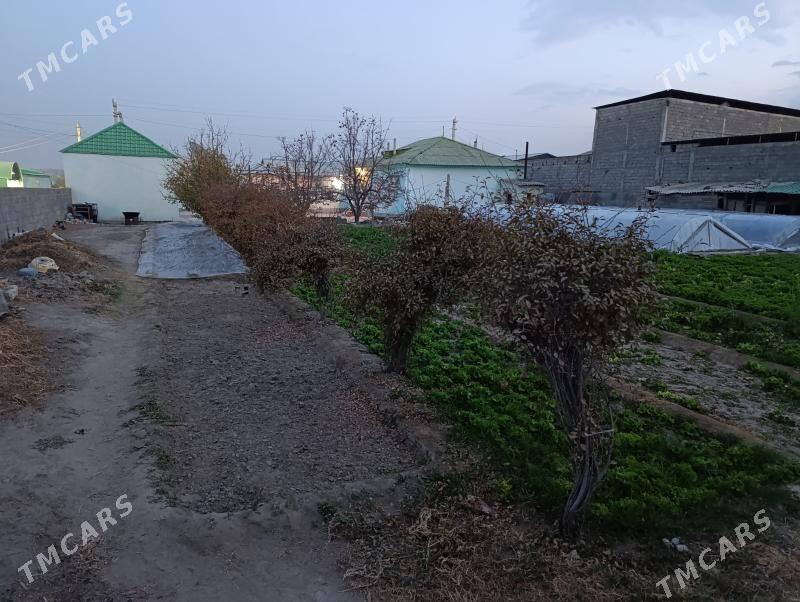 Bagyr Jay - Багир - img 5