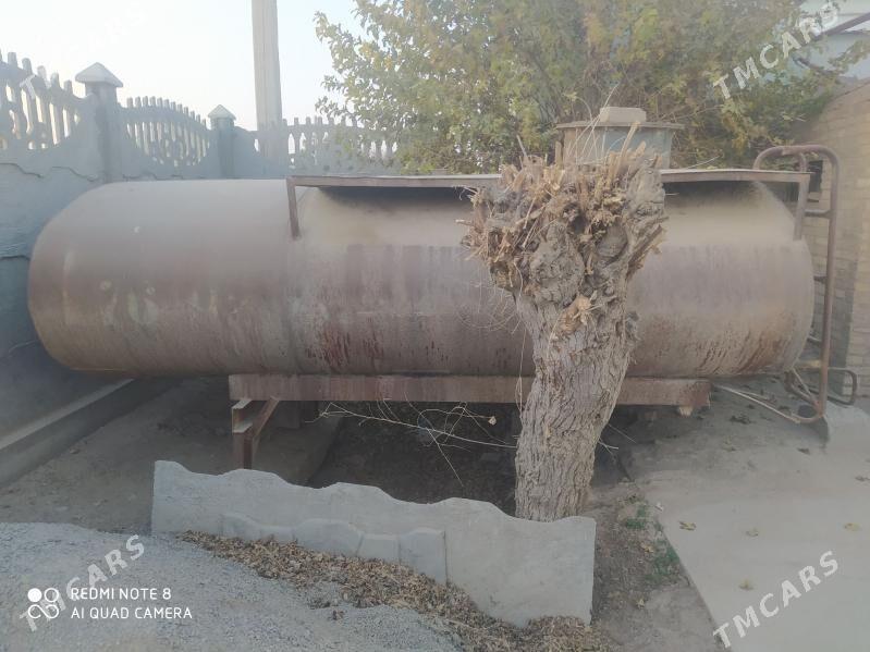 Boçka - Mary - img 2