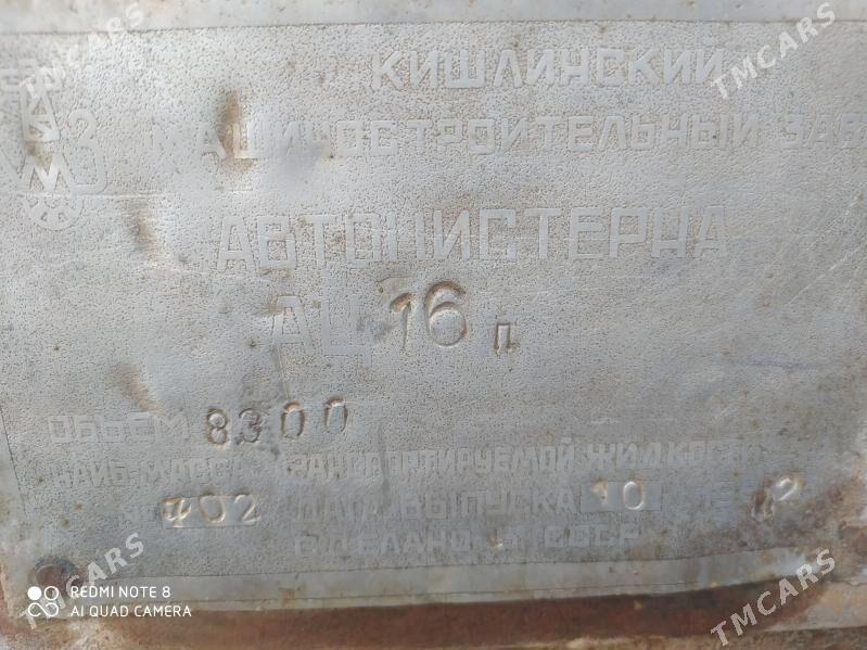 Boçka - Mary - img 3