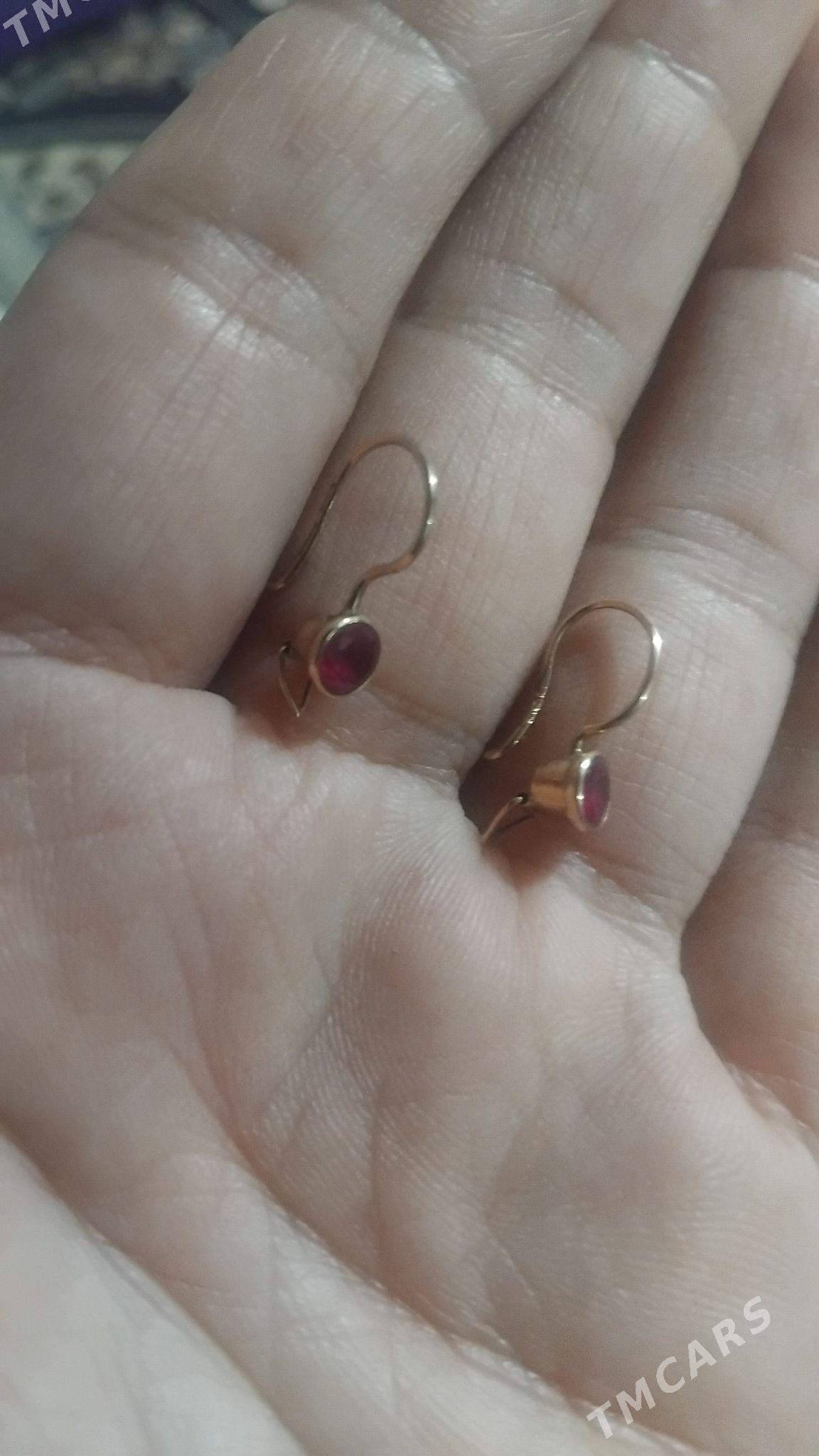 gyzyl - Анев - img 1