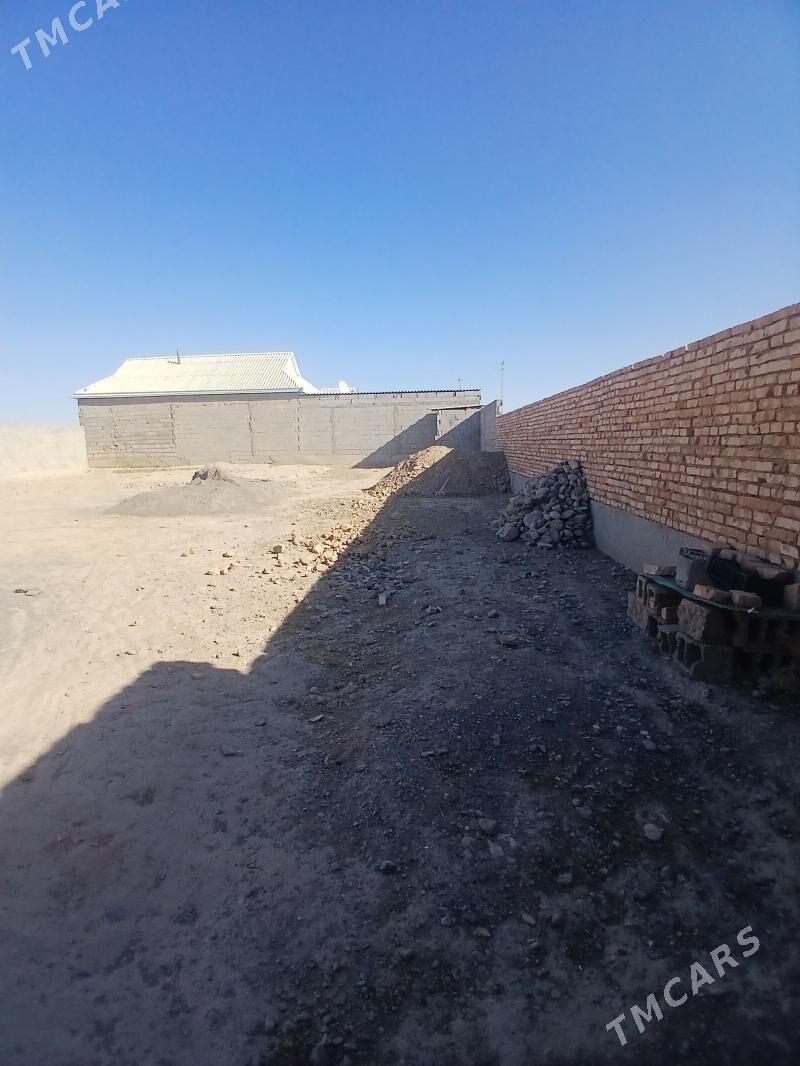 Satlyk jay uçaska - Кака - img 5