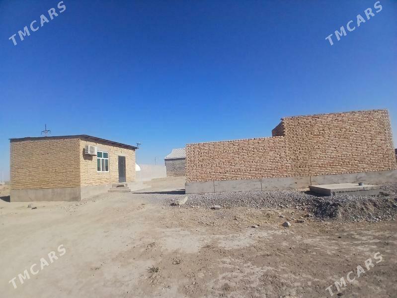 Satlyk jay uçaska - Кака - img 4