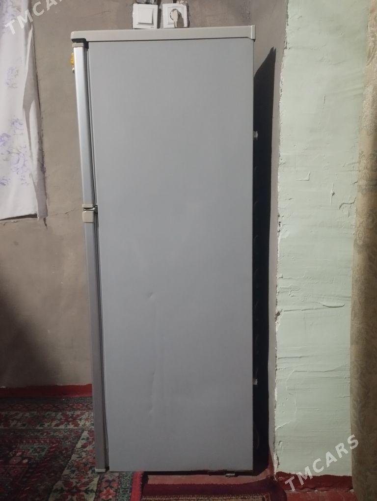 Holodinik - Büzmeýin - img 3