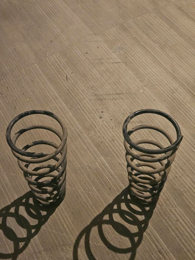 purzin 250 TMT - Тязе заман - img 3