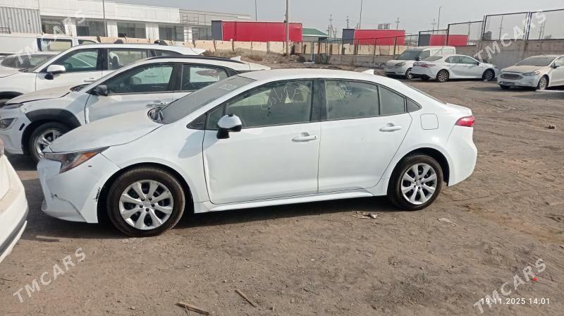 Toyota Corolla 2021 - 197 000 TMT - Mary - img 2