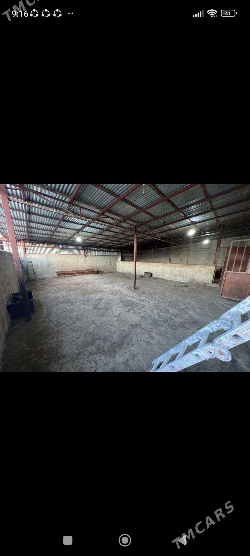 jay we ferma - Gyzylarbat - img 9