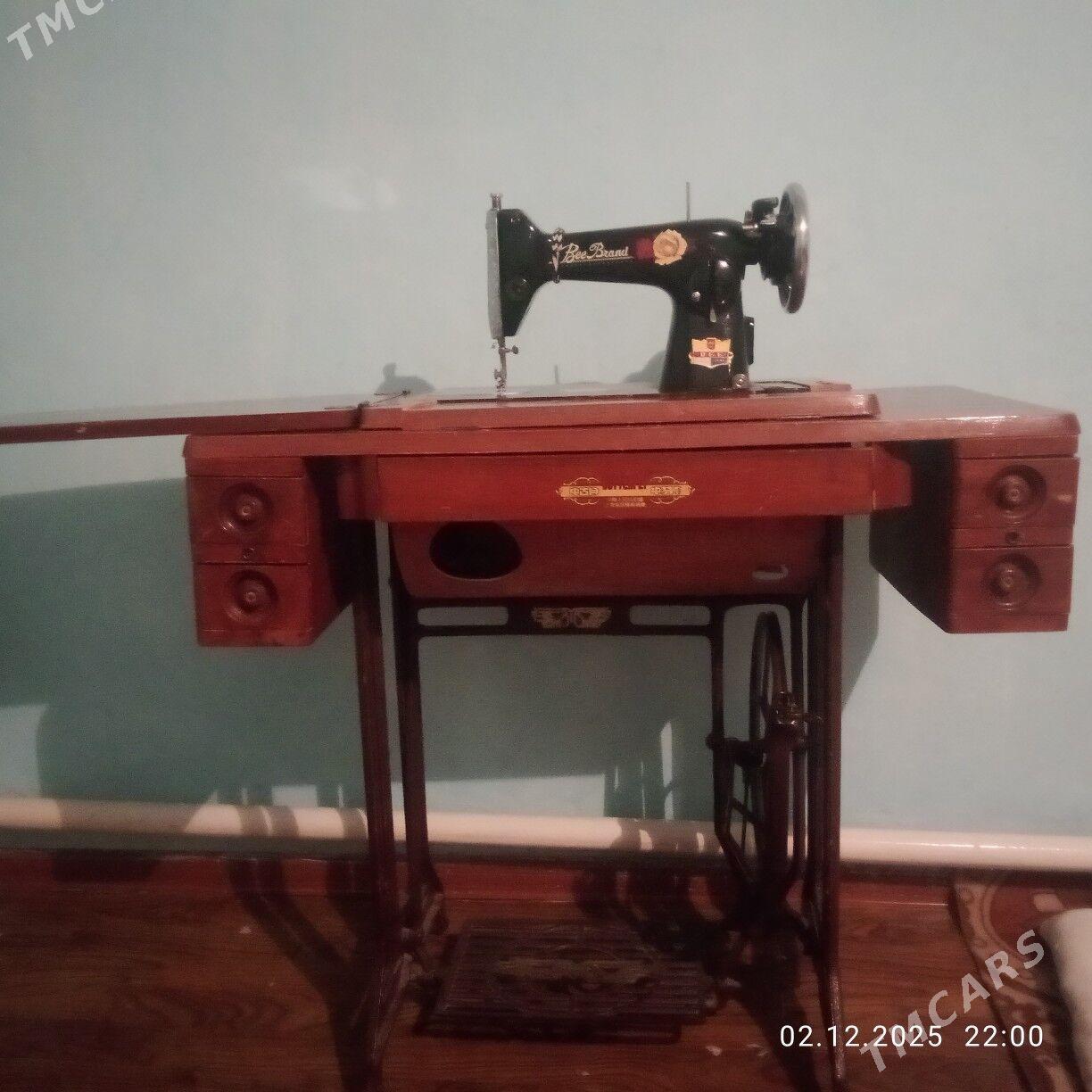 Tikin masyn - Кака - img 3