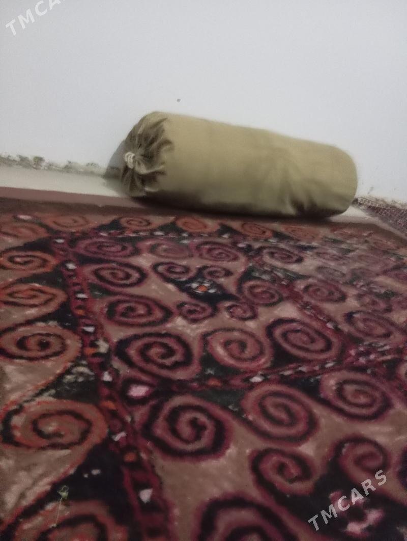 Ysbanlimûşek - Esenguly - img 2