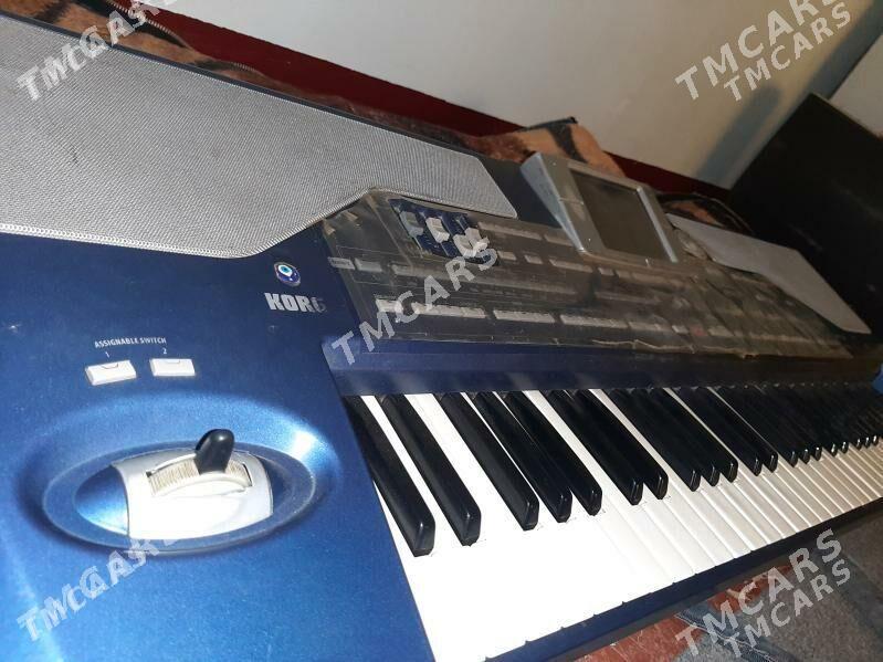 Korg pa800 - Babadaýhan - img 2