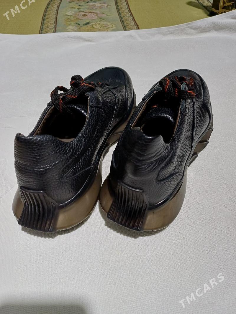 Derimod krasowki - Daşoguz - img 2