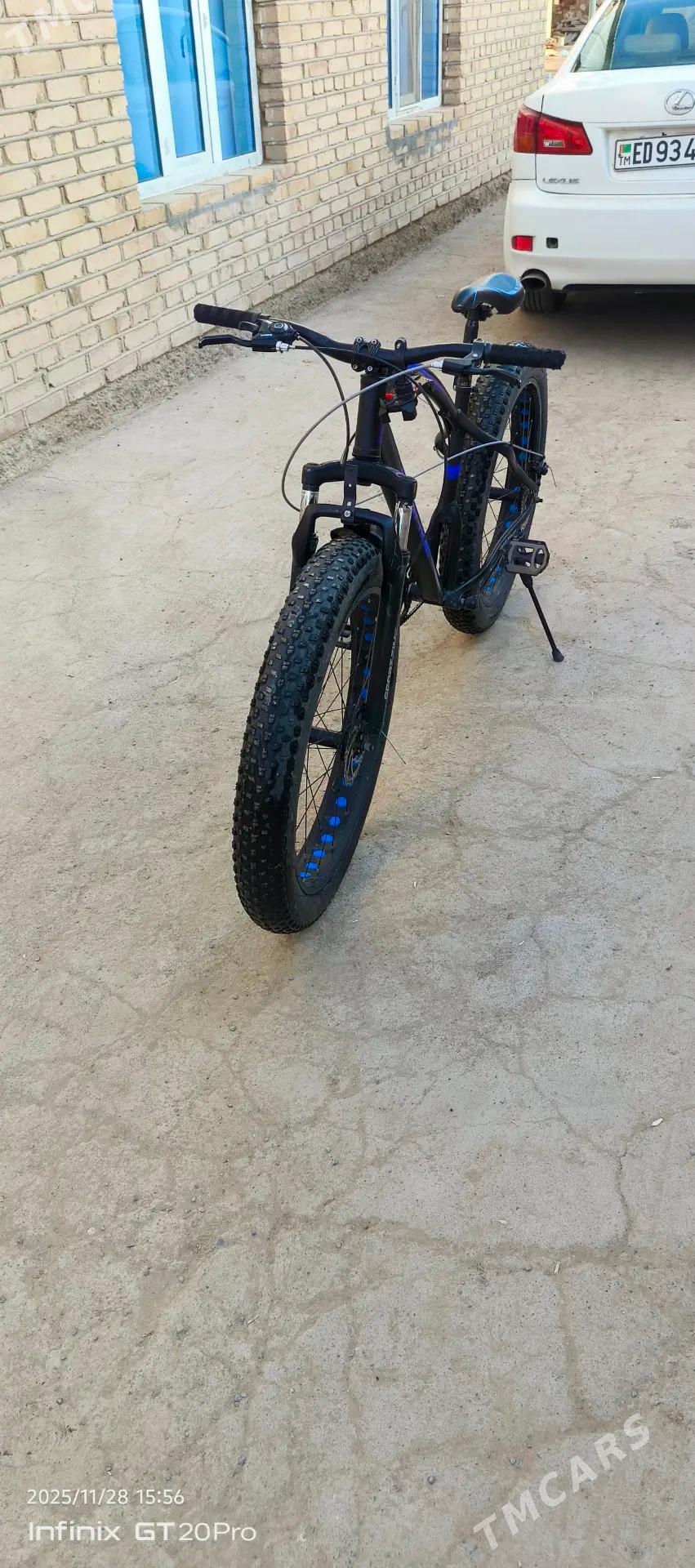 Welsopet - Türkmengala - img 2