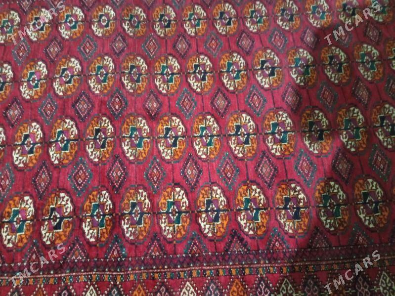 El Haly - Gyzylarbat - img 2