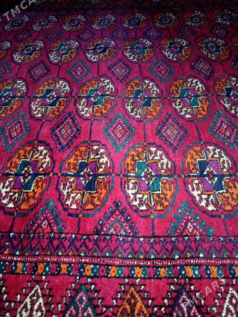 El Haly - Gyzylarbat - img 5