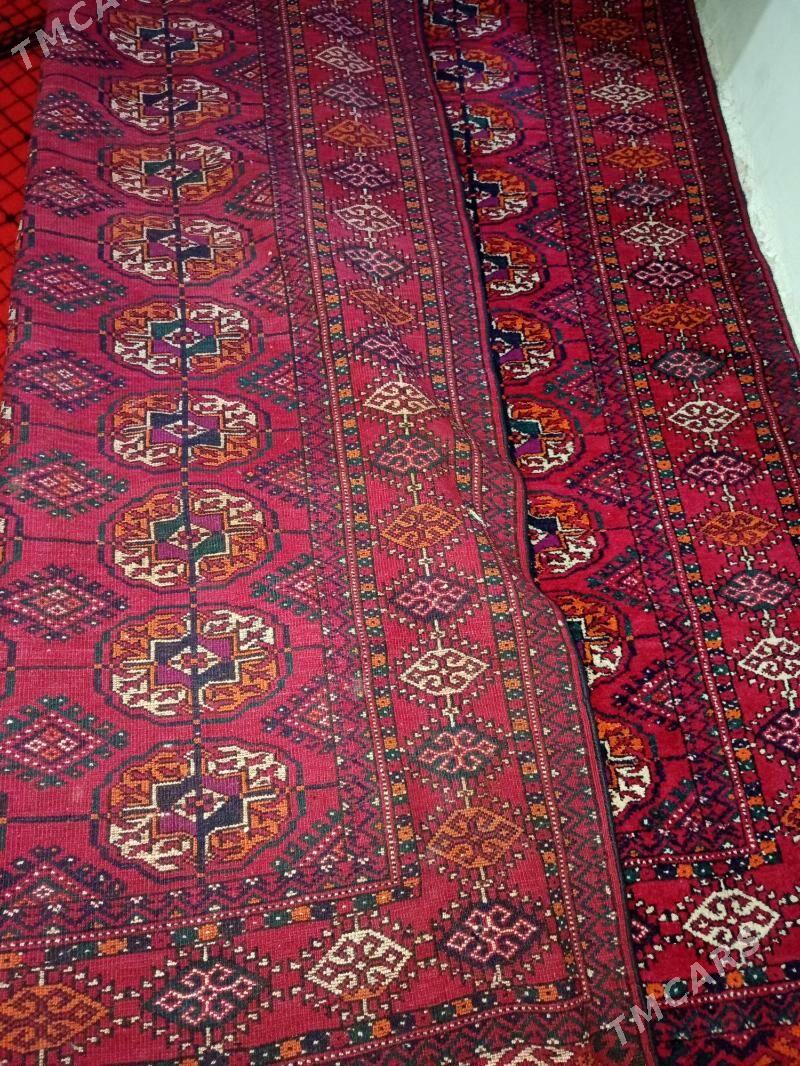 El Haly - Gyzylarbat - img 4