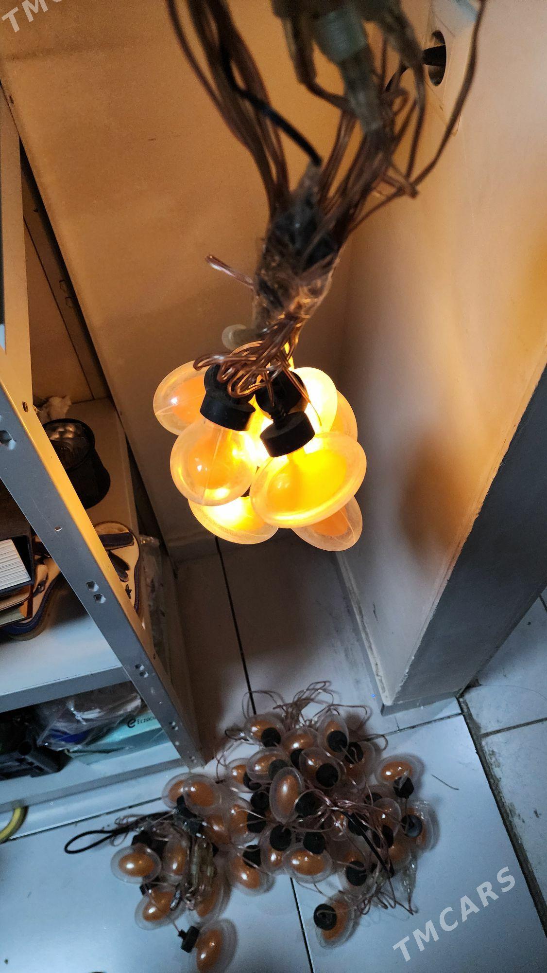 Grilyanda Yolka Tazeyyl Chyra - Ашхабад - img 6