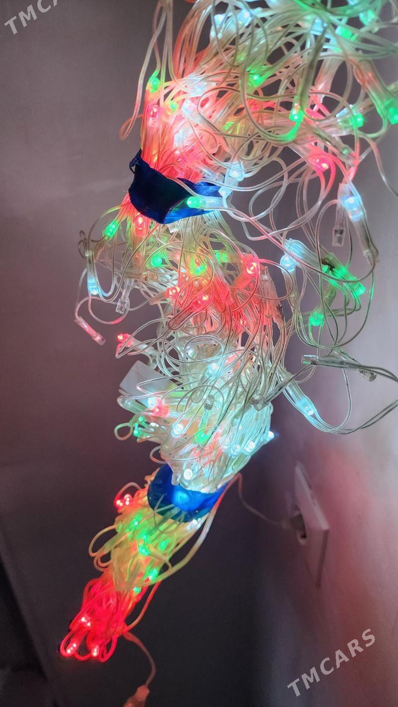 Grilyanda Yolka Tazeyyl Chyra - Ашхабад - img 3