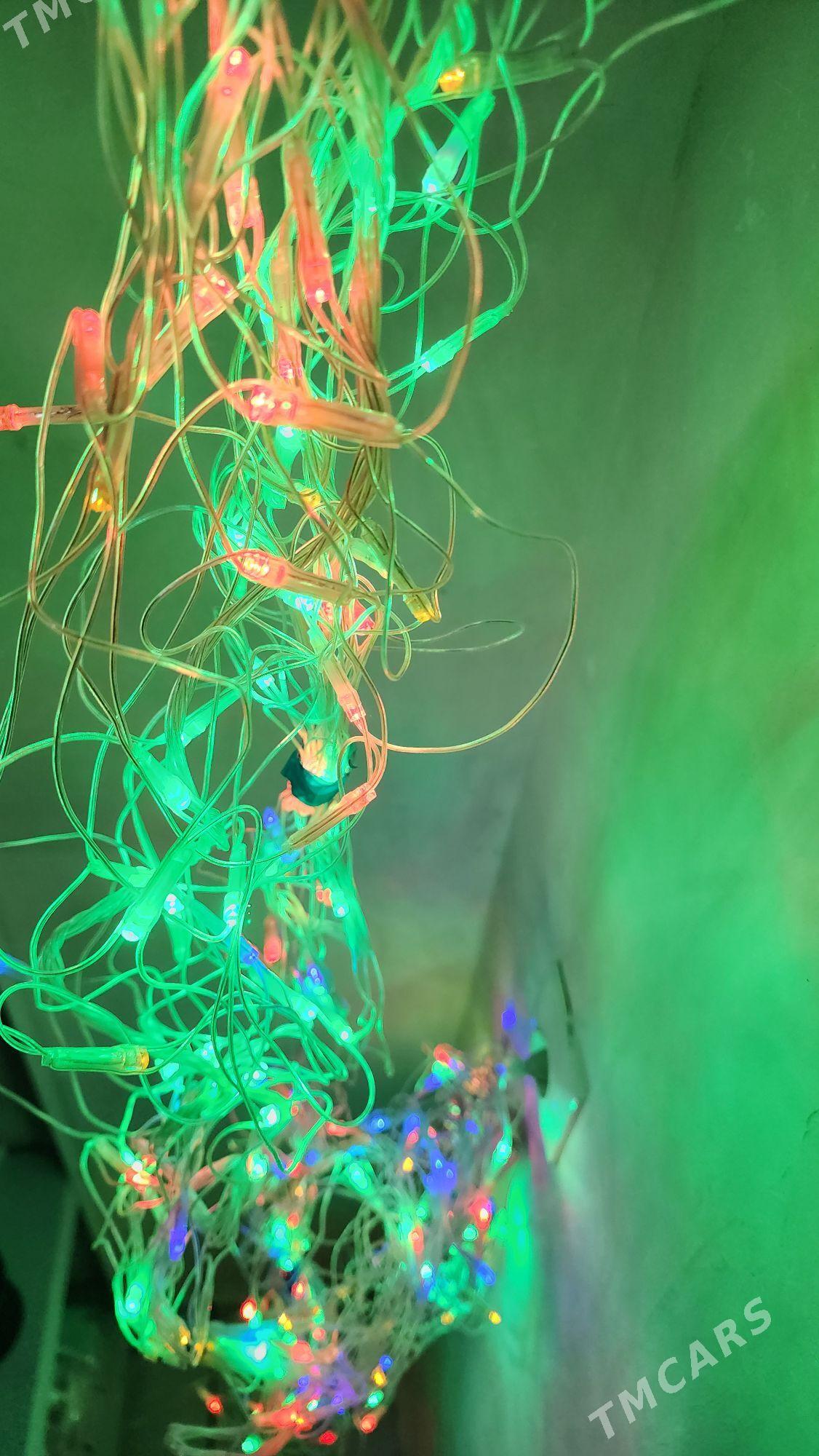 Grilyanda Yolka Tazeyyl Chyra - Ашхабад - img 4