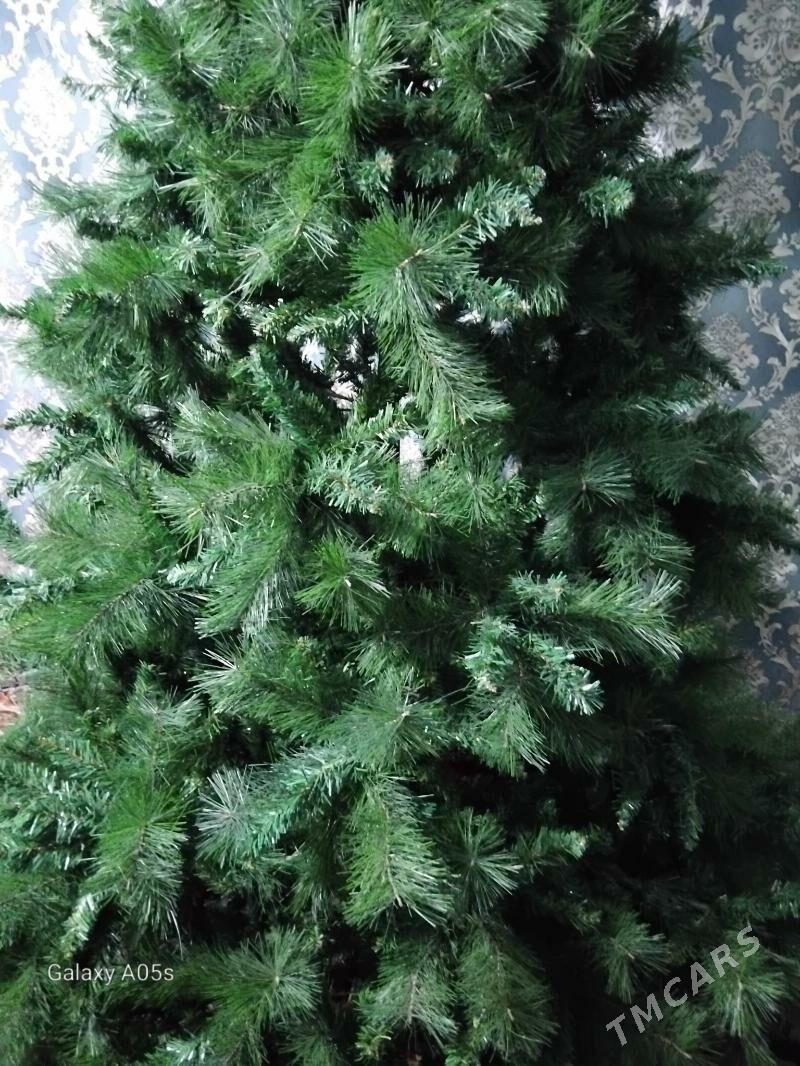 ýolka - Bagyr - img 5