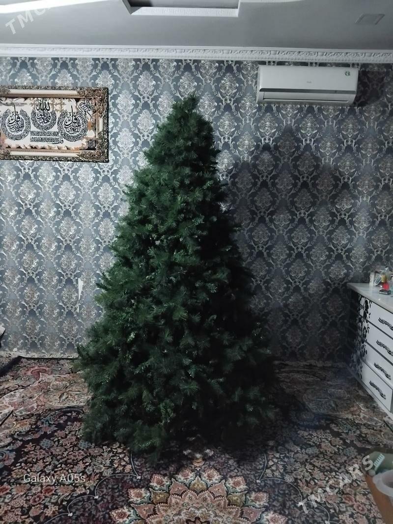 ýolka - Bagyr - img 2