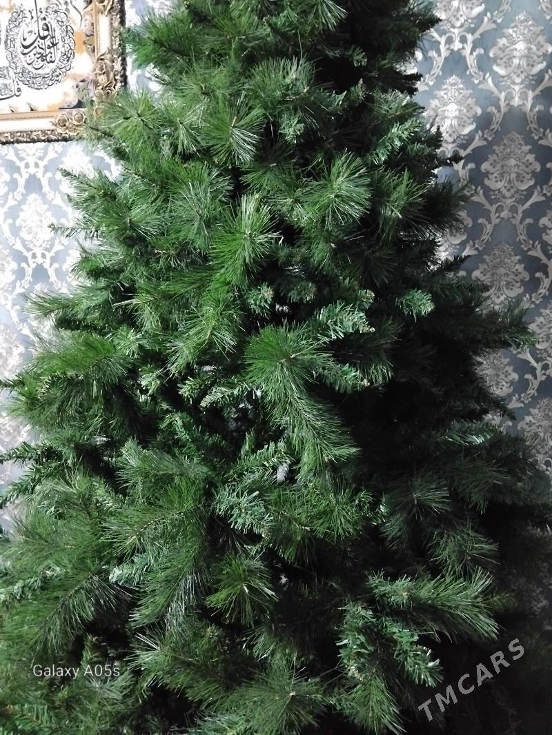 ýolka - Bagyr - img 4