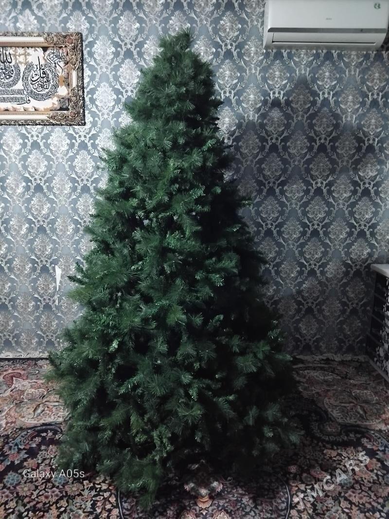 ýolka - Bagyr - img 3