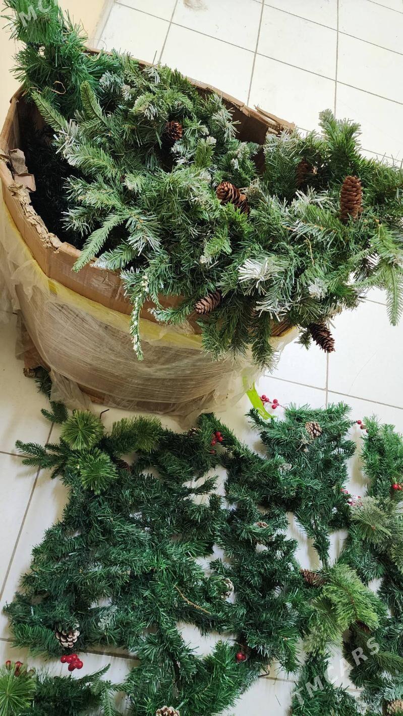 Tazeyyl Vetka Yolka Dekoratiw - Ашхабад - img 5