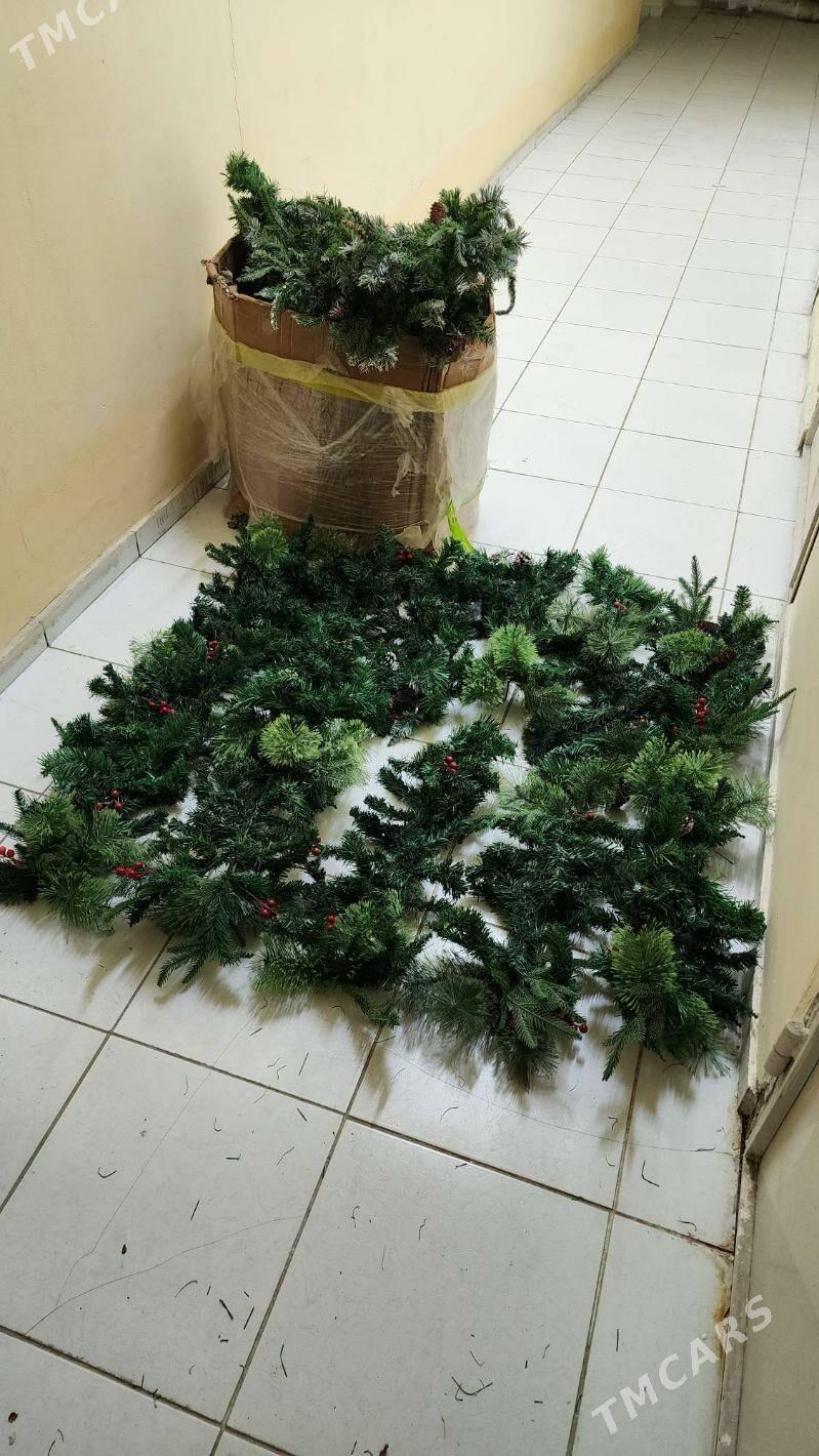 Tazeyyl Vetka Yolka Dekoratiw - Ашхабад - img 3