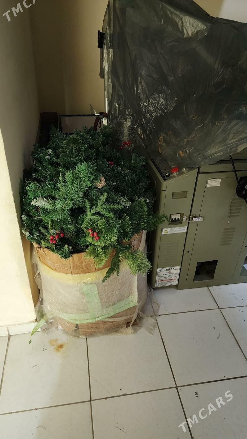 Tazeyyl Vetka Yolka Dekoratiw - Ашхабад - img 6