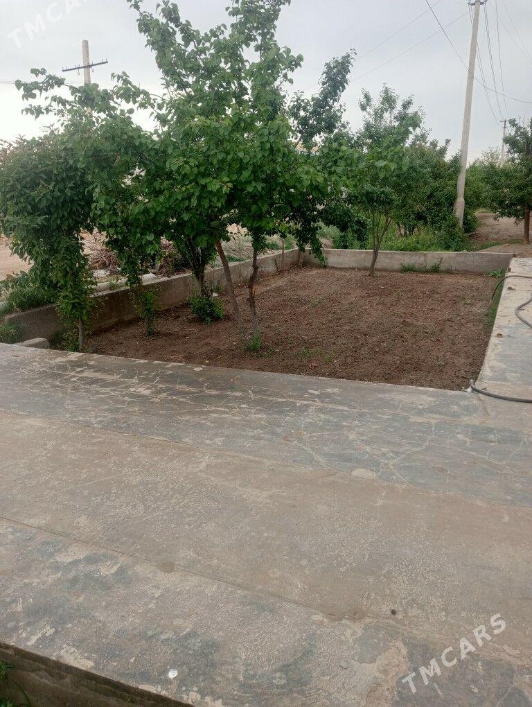 boçka - Дянев - img 2