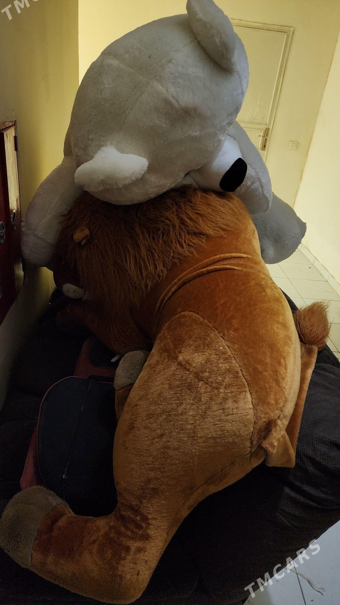 Chaga Yumshak Oyunjak Ayy - Ашхабад - img 5