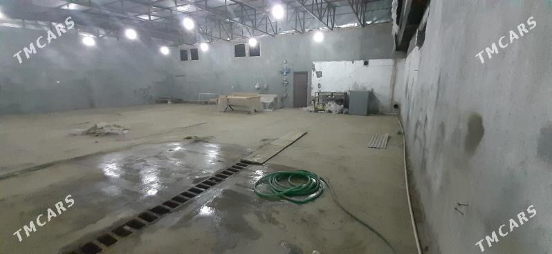 Seh ARENDA SEH - Ak bugdaý etraby - img 3