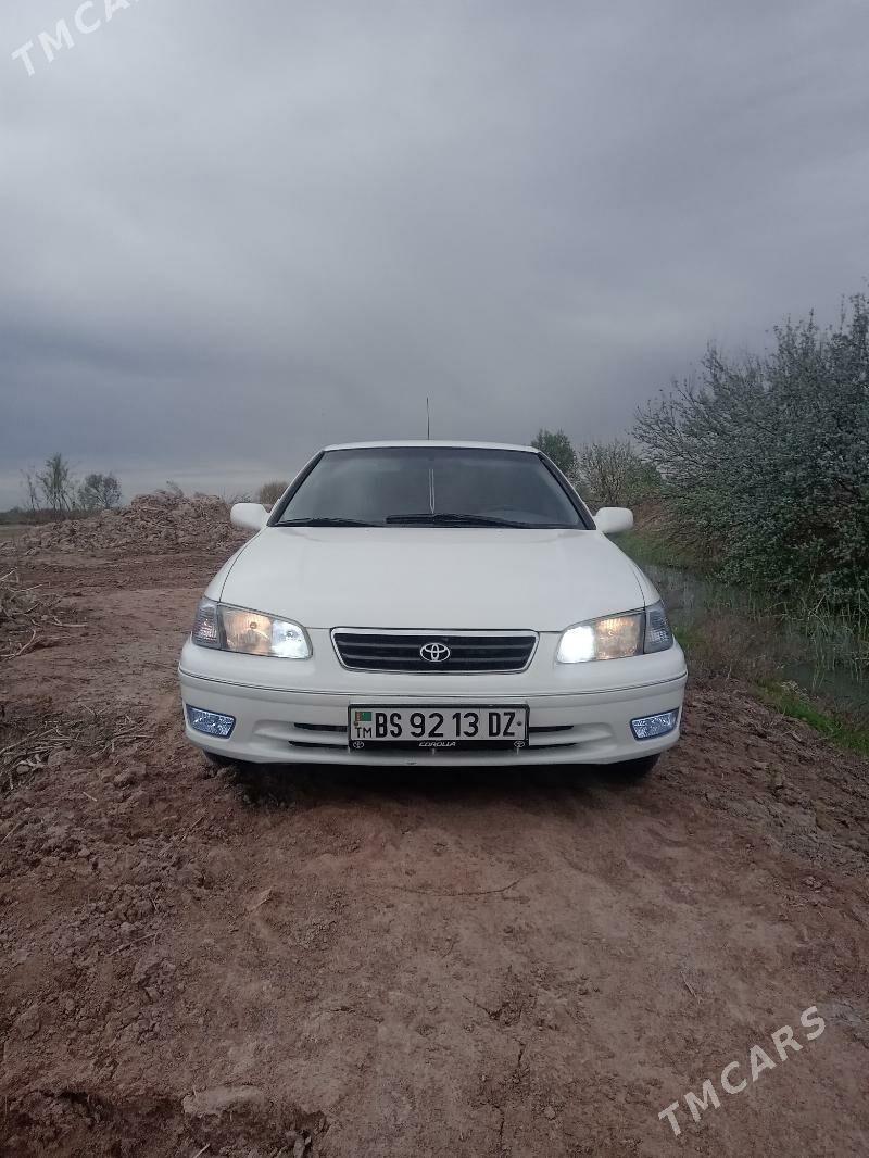 Toyota Camry 2000 - 140 000 TMT - етр. Туркменбаши - img 2