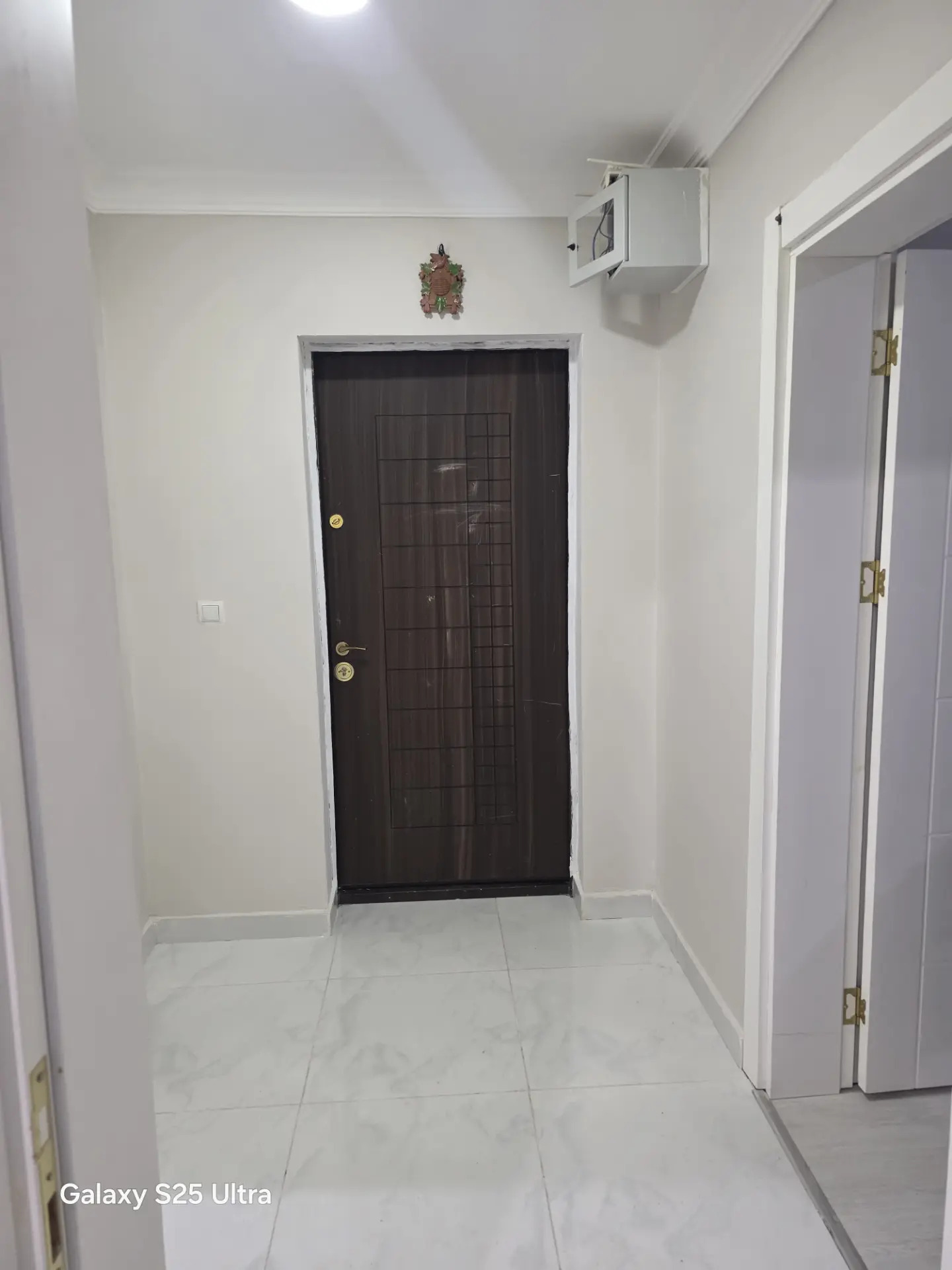 ARZAN GURTLY 1 KOMNAT - Gurtly - img 3