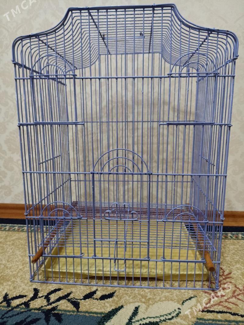 Большая клетка с комплектом - Parahat 3 - img 3