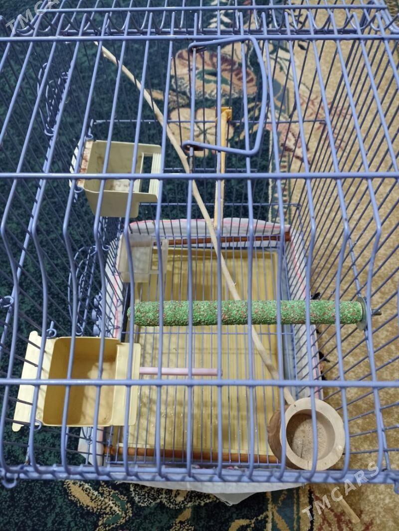 Большая клетка с комплектом - Parahat 3 - img 5