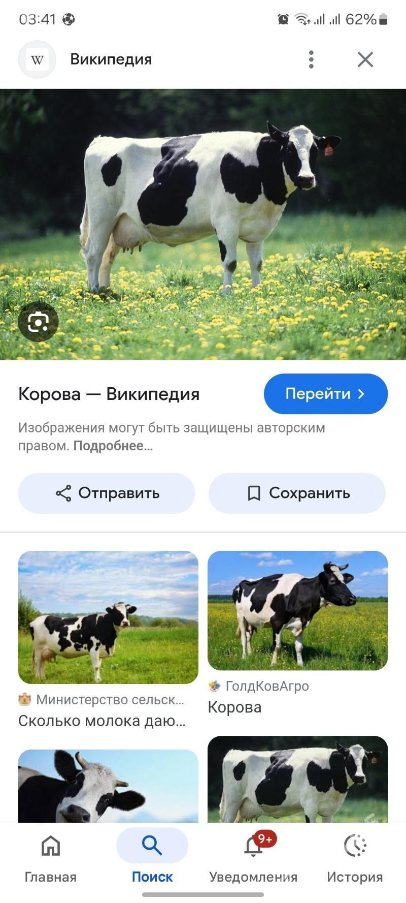 ala sygyr - Gökdepe - img 1