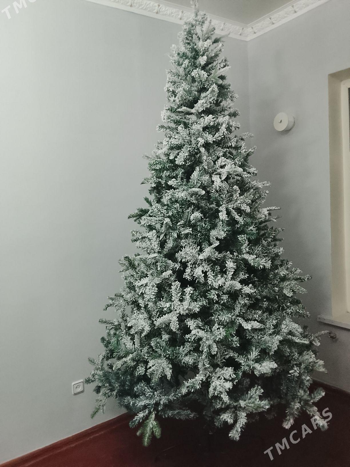 Yolka Arca - Ашхабад - img 3